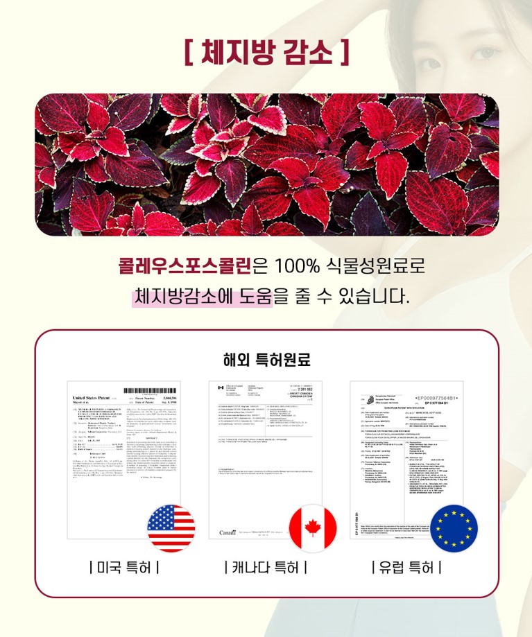 드림핏 다이어트 내돈내산