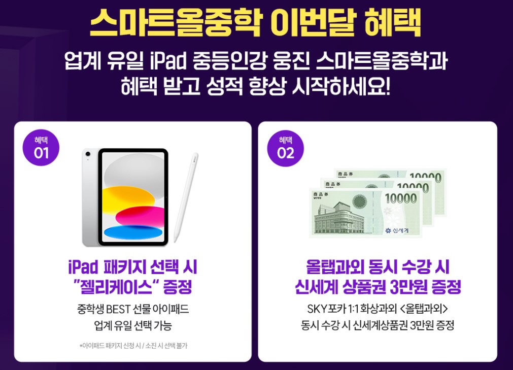 웅진 스마트올 중학