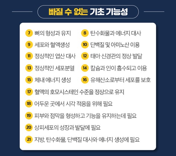 리피어라 성분