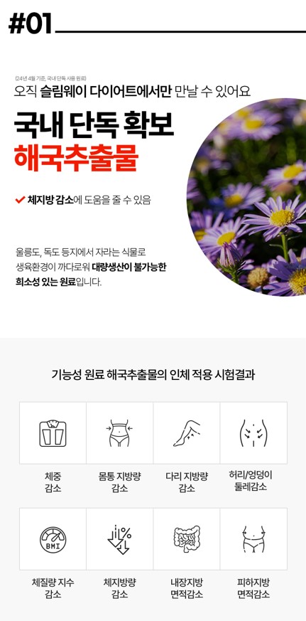 슬림웨이 복용방법