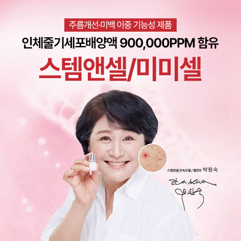 스템앤셀