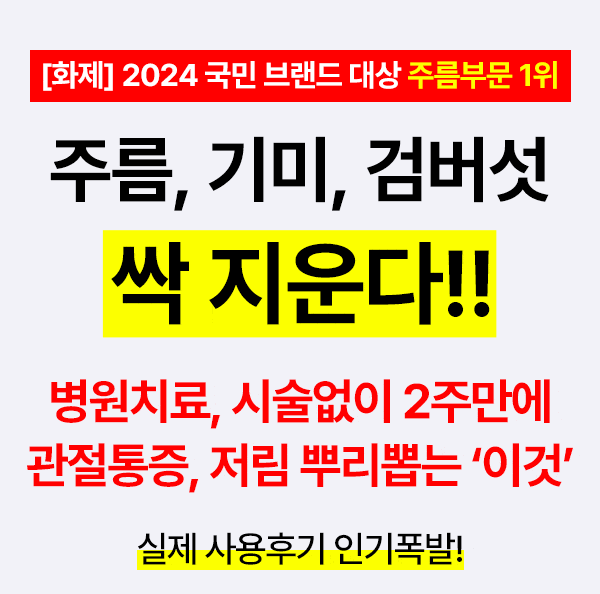 스템앤셀 가격