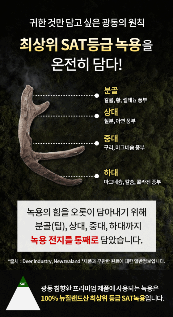 광동 침향환 가격 효능