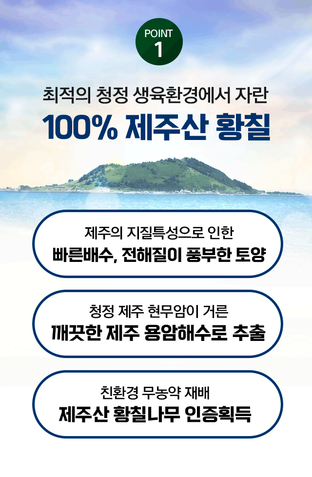광동 녹황당 황칠 후기