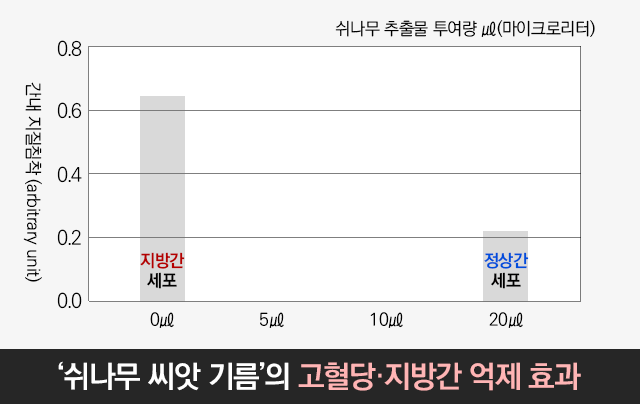 혈당 브레이크 성분