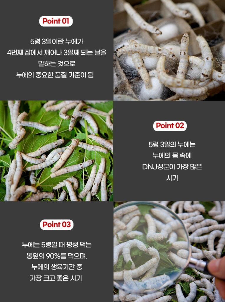 진잠원 뜻