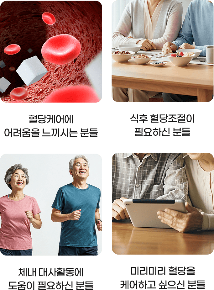진잠원 섭취방법