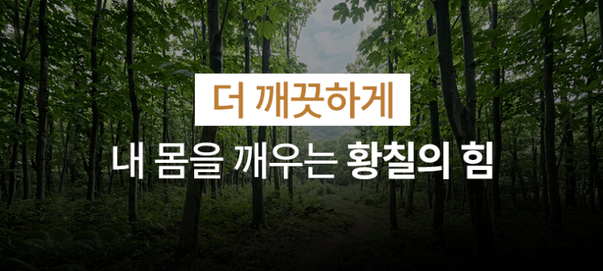 조선황칠보감 효능