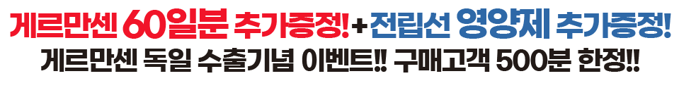 게르만센 후기