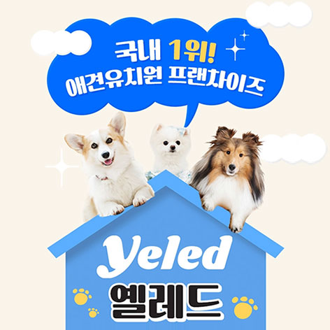 옐레드애견유치원 창업