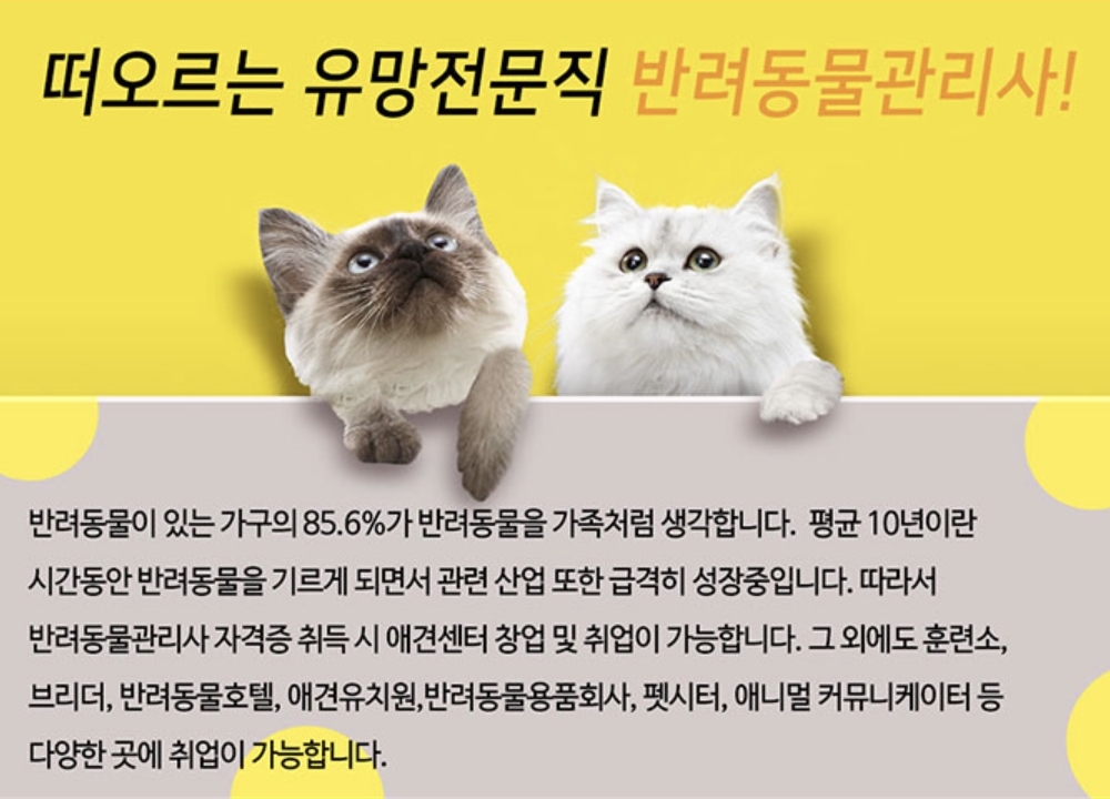 반려동물 관리사란