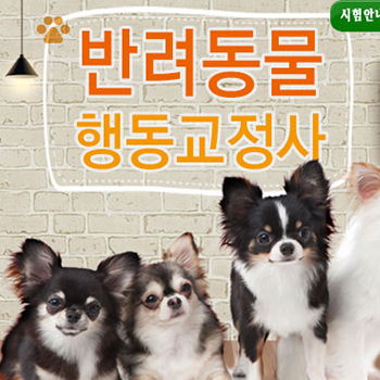 반려동물행동지도사
