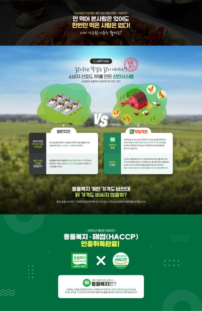 자담치킨 창업