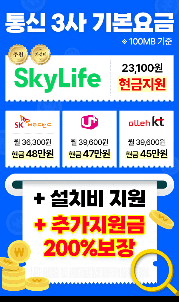 판다넷 인터넷