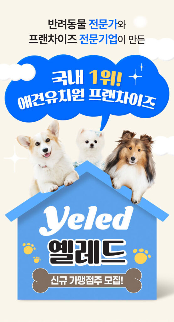 옐레드애견유치원 창업