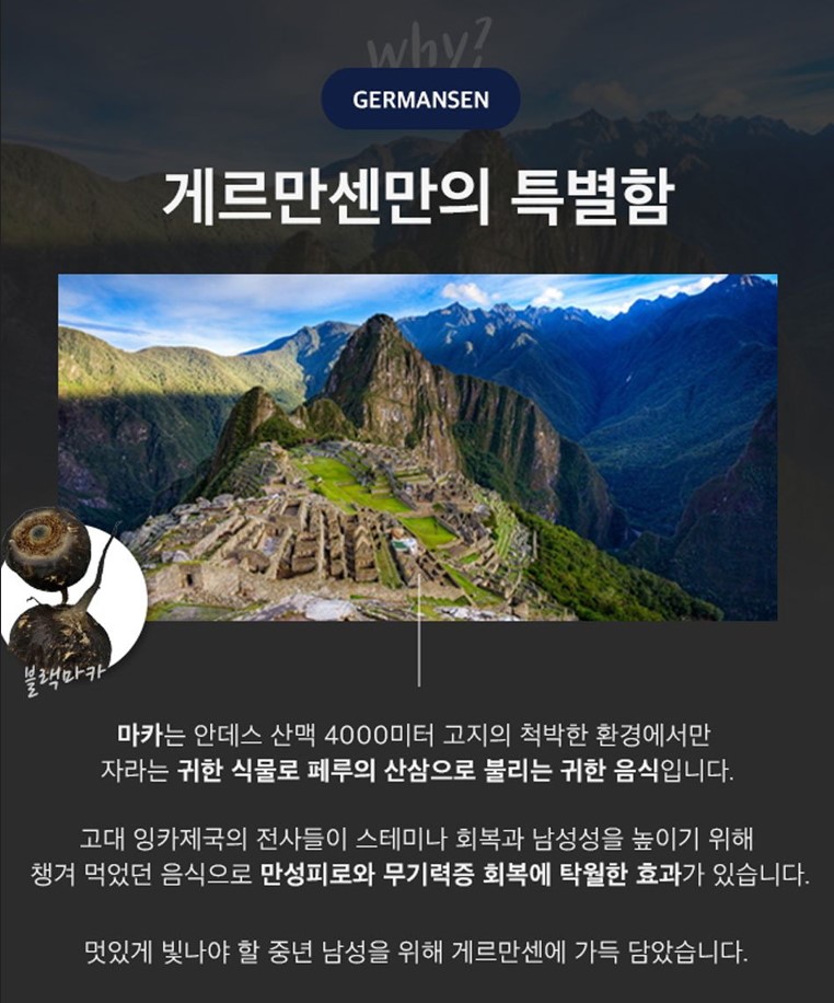 게르만센구입방법