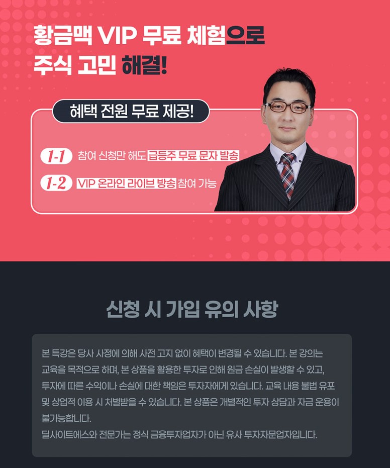 딜사이트S 종목분석