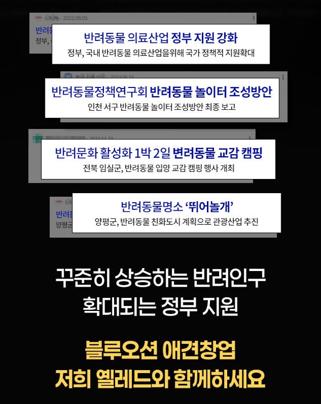 옐레드 창업
