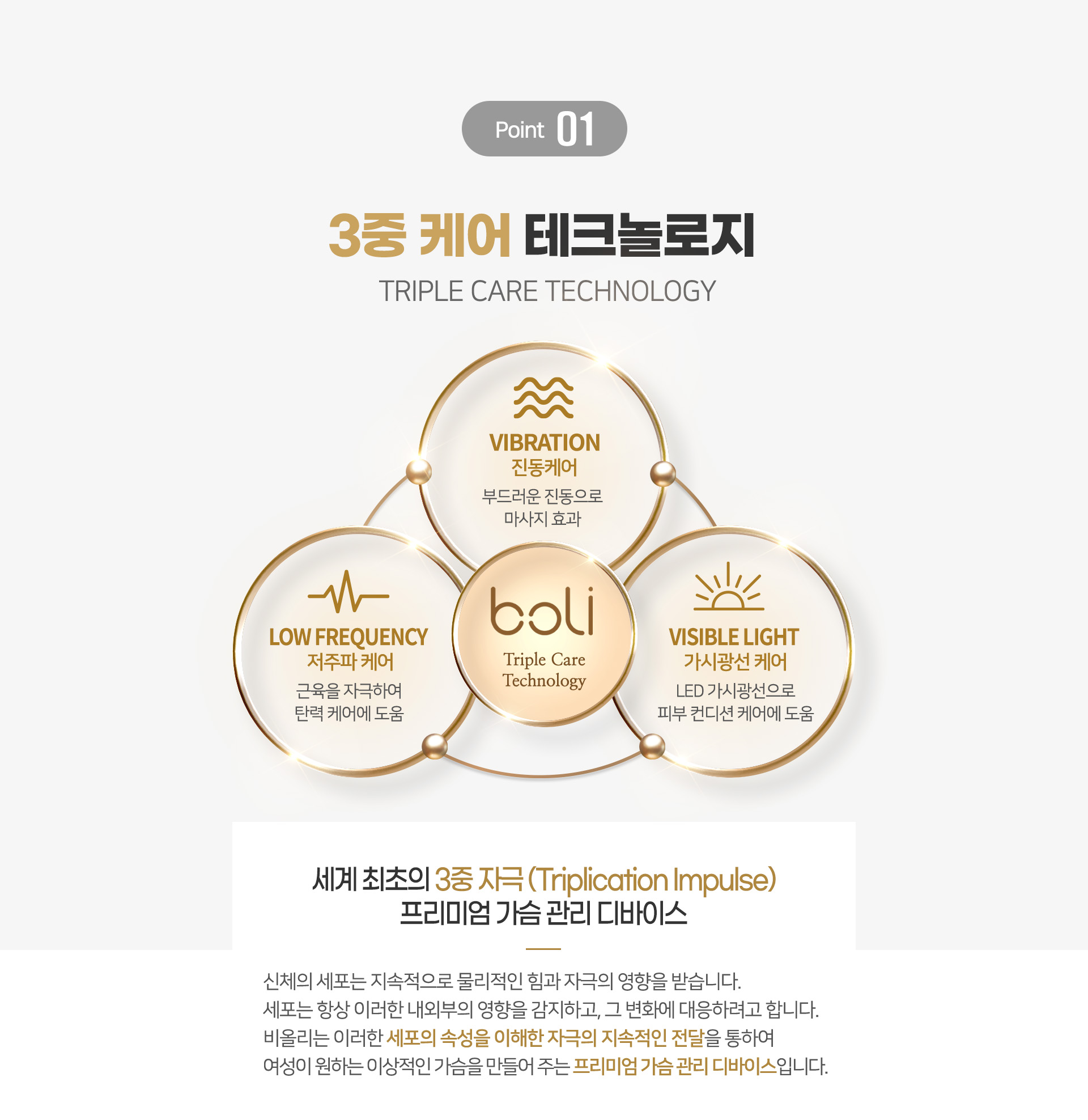 비올리 사용법 안내 이미지