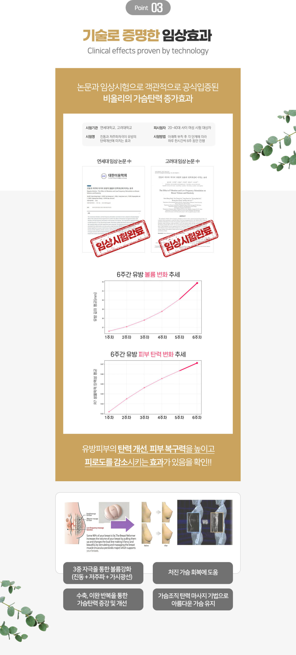 비올리 사용법 안내 이미지
